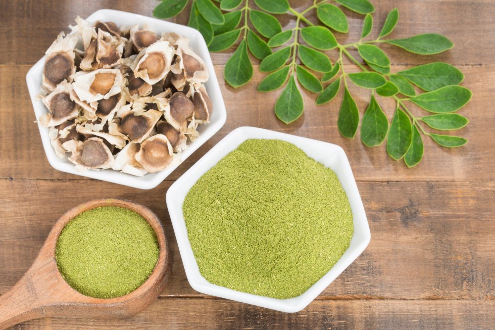 LE MORINGA Du Nom Scientifique Moringa Oleifera Le Moringa Est Une