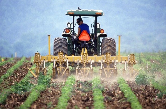 
          QUELLES SONT LES MESURES PHYSIQUES ET BIOLOGIQUES D'AMÉLIORATION DU SOL POUR LES CULTURES DE POMME DE TERRE ?