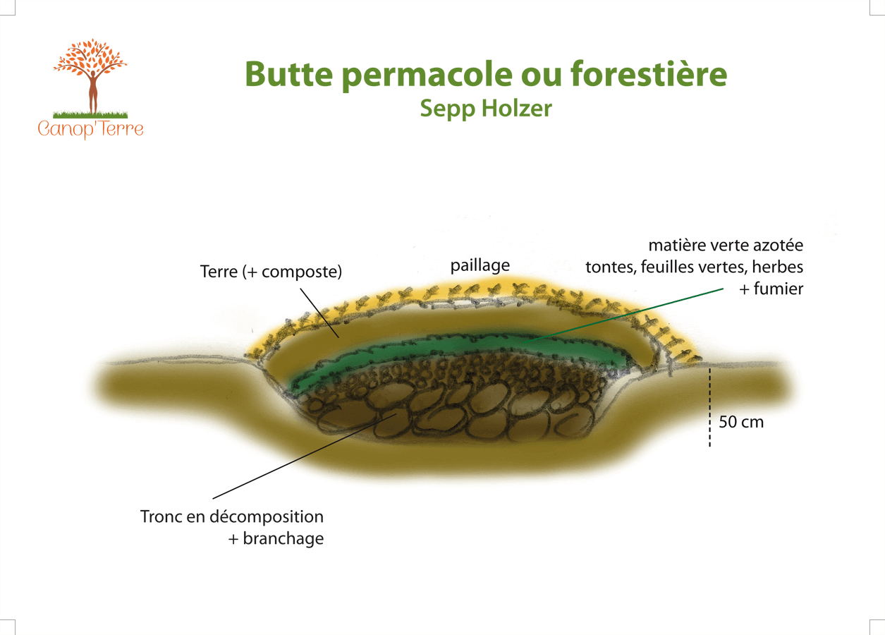 
          Butte permacole ou forestière Sepp Holzer