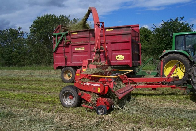 
          Ray-grass d'Italie