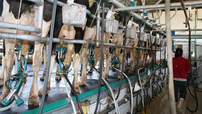 
          Conjoncture laitière Européenne: Vers une crise « bien plus longue et profonde que les deux précédentes »