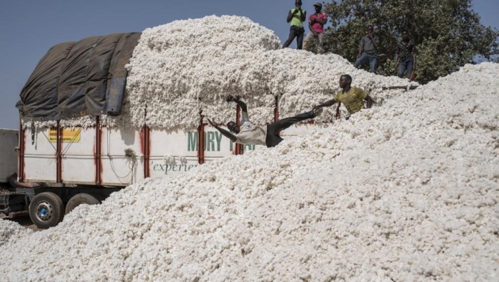 
          La Chronique Matières premières agricoles: Le coton au 3 octobre 2019