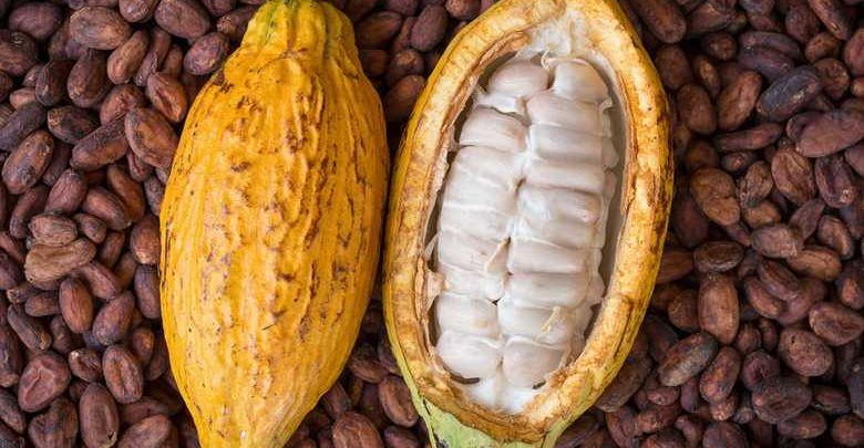 
          La Chronique Matières premières agricoles: Le cacao au 10 octobre 2019