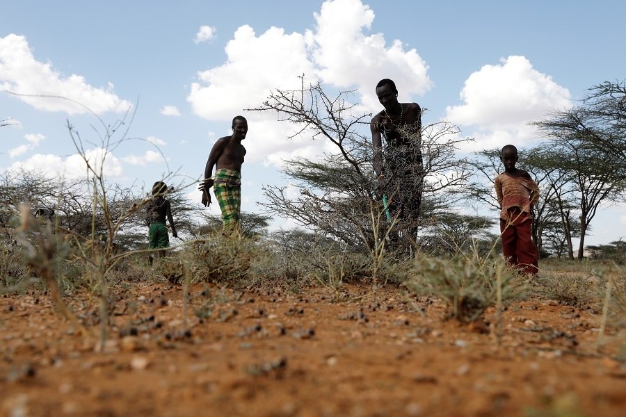 
          Le Japon soutient les  les populations vulnérables touchées par les ravages des criquets pèlerins en Afrique de l’Est