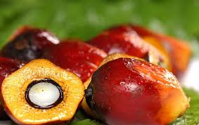 
          La Chronique des  Matières Premières Agricoles: L’huile de palme au 4 mai 2020