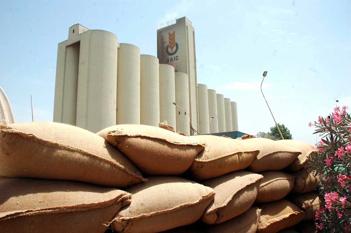 
          L’importation de céréales continue par chuter en Algérie 