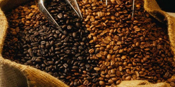 
          Le café Robusta à l’export est-il resté dynamique ?