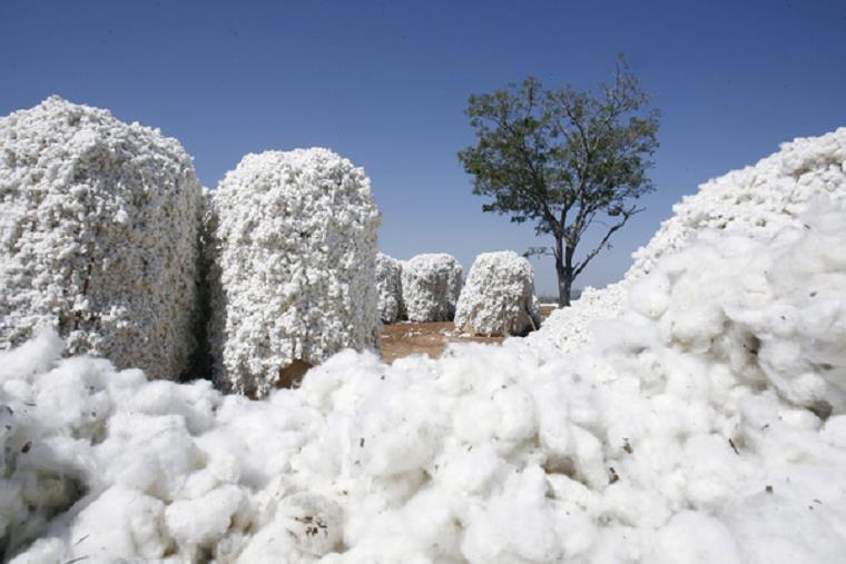 
          La production de coton au Togo a chuté de 15% en 2019/20