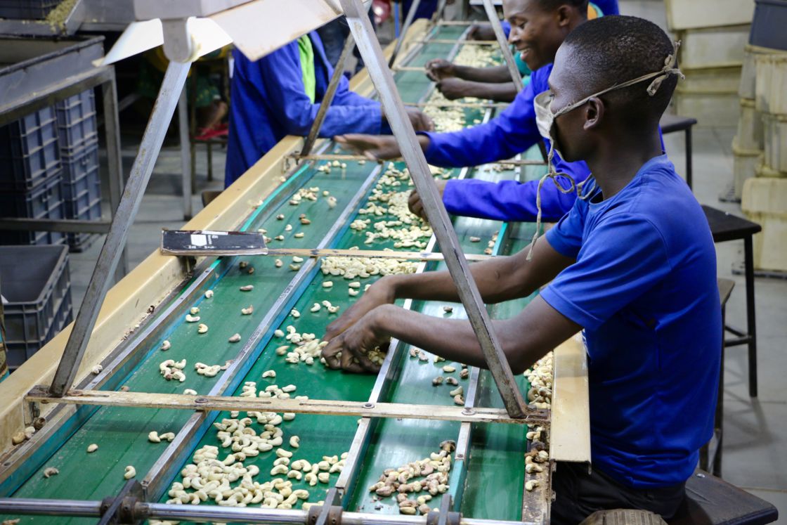 
          Contreperformance dans la transformation de la noix de cajou au Mozambique 