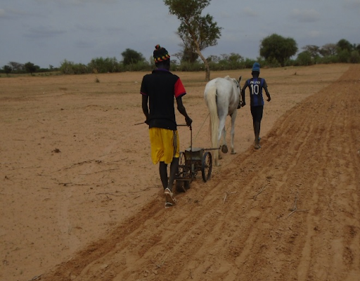 
          Les échos de la nouvelle campagne agricole 2020/21 au Burkina Faso 