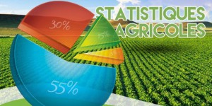 
          Statistiques agricoles en Afrique