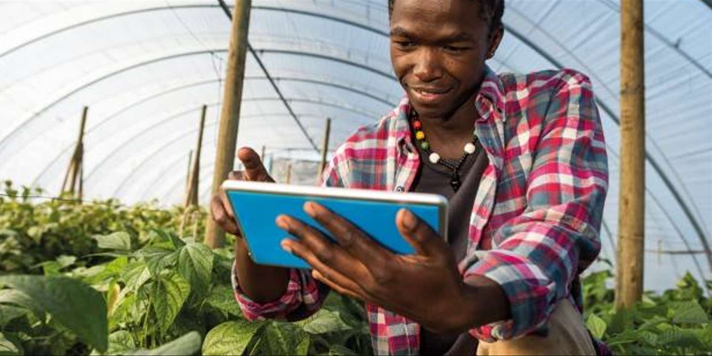 
          Vente de produits agricoles