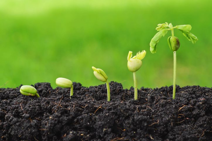 
          La Chronique Matières premières agricoles