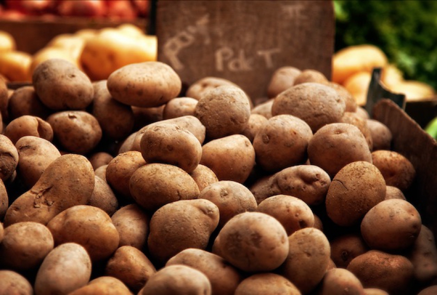 
          La filière de pommes de terre en France demande une aide d’urgence de 35 millions d’euros