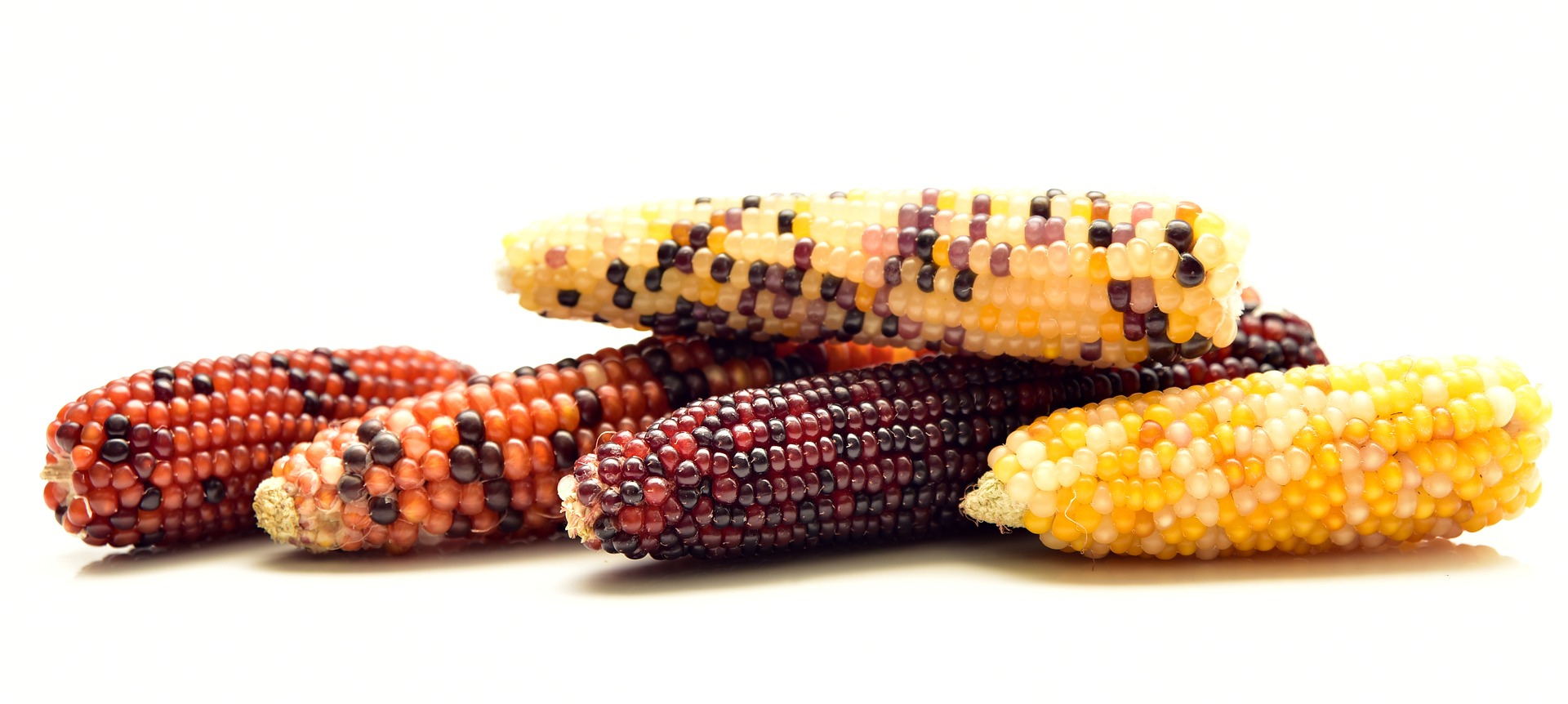 
          Revue des marchés du 15 Mai 2020 : Le maïs