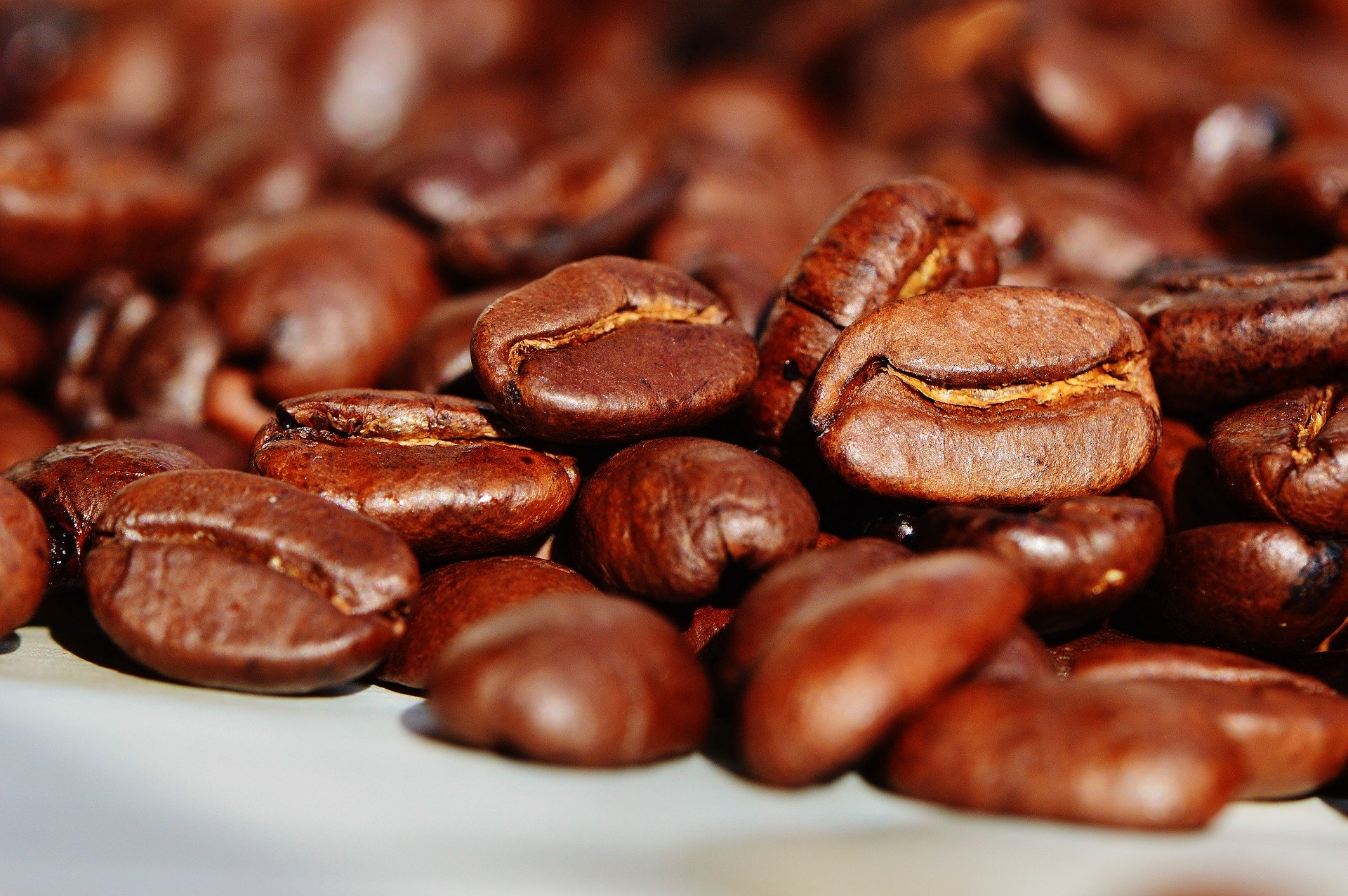 
          En Côte d’Ivoire, le Conseil du Café-Cacao (CCC) devrait lancer prochainement des réformes dans la filière caca