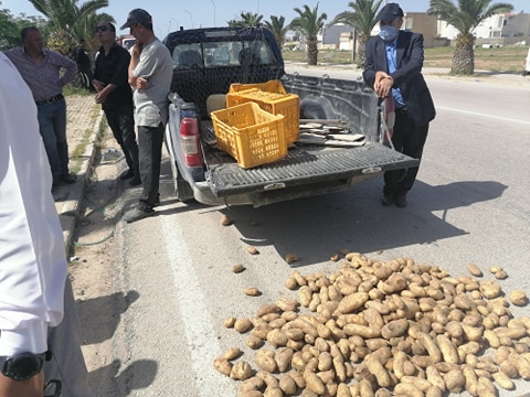 
          En Tunisie, des agriculteurs déversent de la pomme de terre sur la chaussée à Jendouba pour protester contre l’effondrement des prix