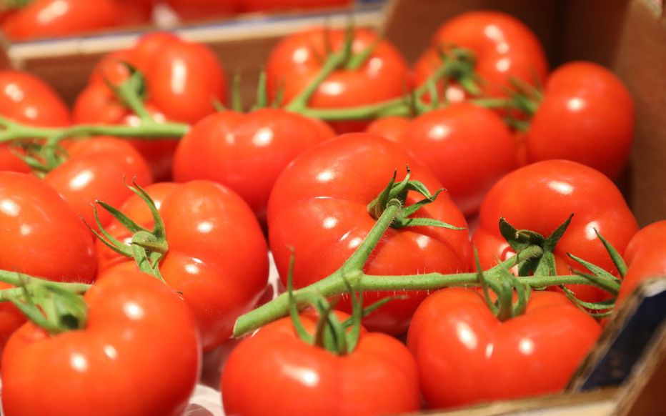 
          Le Maroc se classe 4ème dans le classement mondial des exportations de tomates