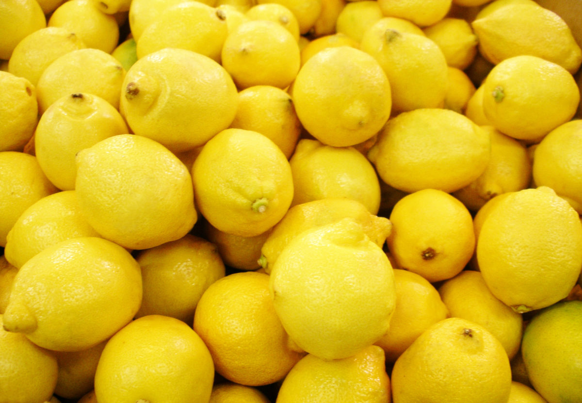 
          La Pologne refuse l’importation sur son territoire des citrons issus de la Turquie pour excès de pesticides 