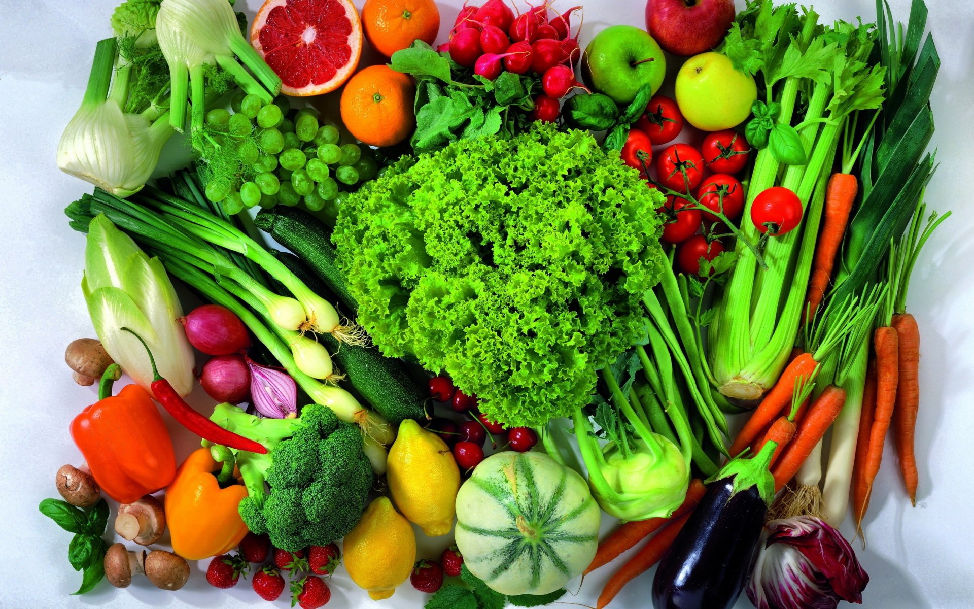
          Le Maroc se démarque dans la production de légumes avec un total de 4 millions de tonnes 
