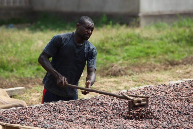 
           Fairtrade International soutient les producteurs de cacao à hauteur 3 millions d’euros 