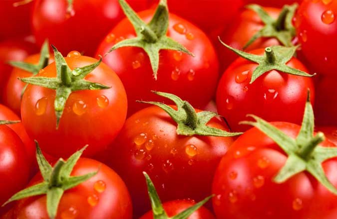 
           Les exportateurs de tomates turcs veulent une suppression du quota russe sur les tomates