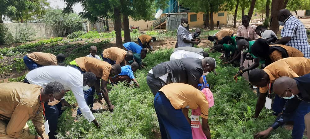 
          Trente élèves tchadiens formés dans le domaine agricole 
