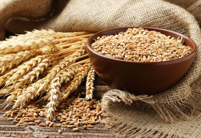 
           La baisse des récoltes placerait le Maroc et l’Egypte parmi les premiers acheteurs mondiaux de blé