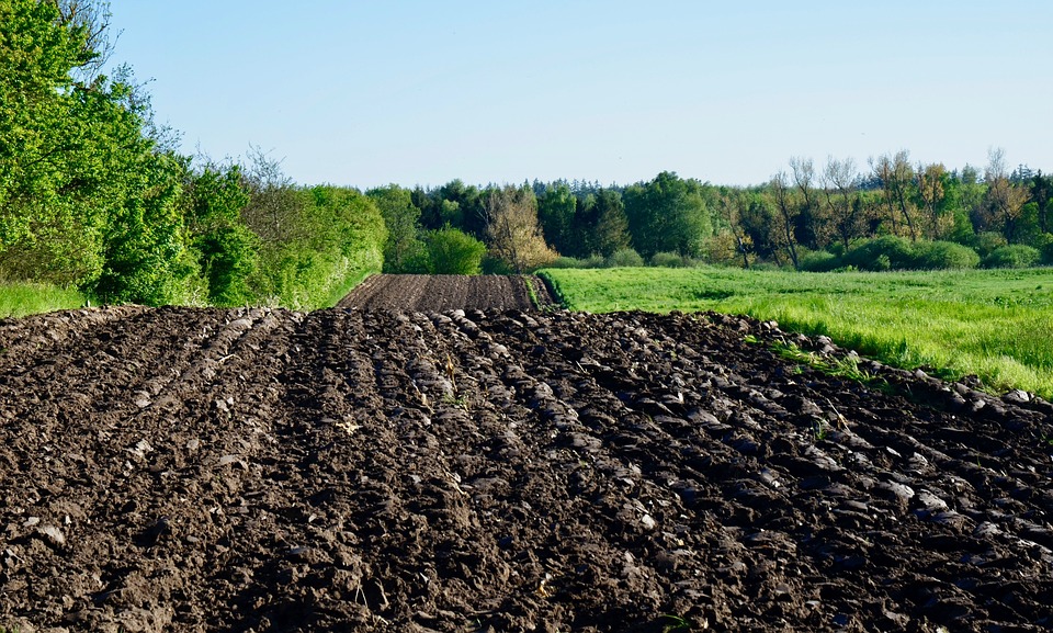 ConnaÎtre La Nature De Son Sol Avec Des MÉthodes Simple Partie 1 Test De Boudin 2762